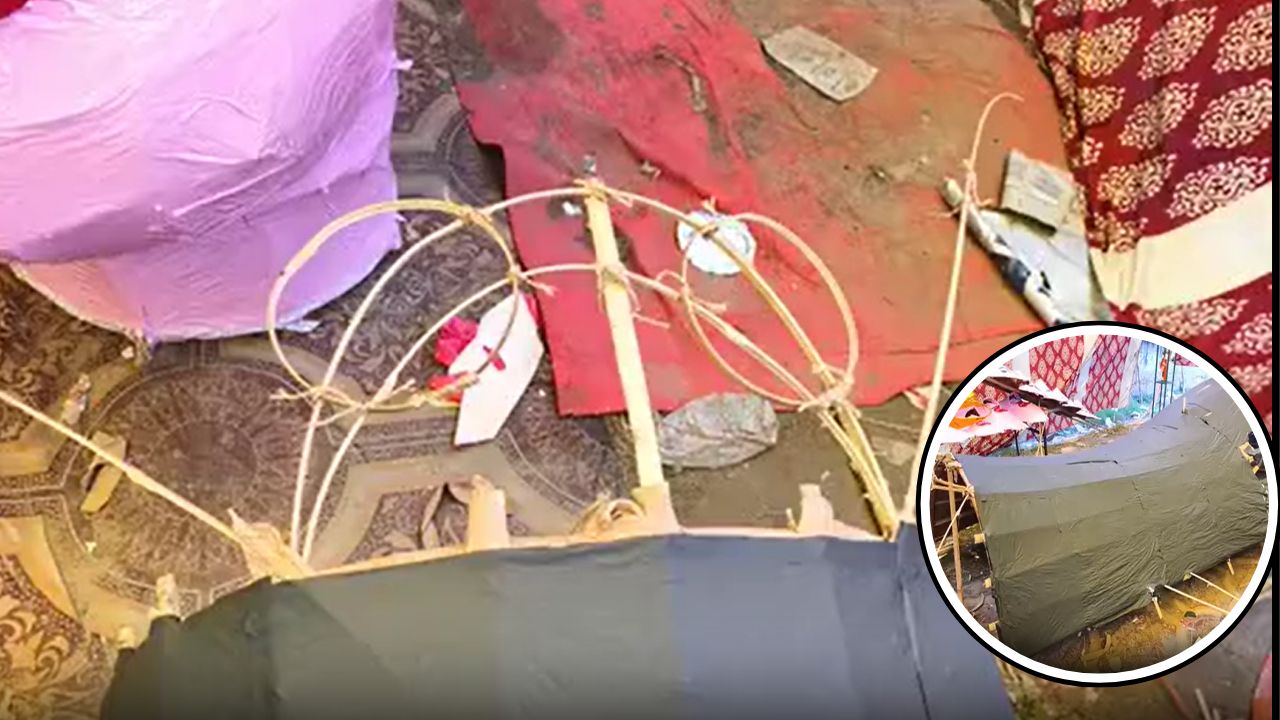 रावण के साथ कॉकरोच का भी होगा दहन