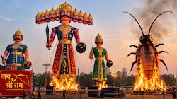 दिल्ली में जिस ग्राउंड को सरकार ने घोषित किया है धरने वाली जगह, वहां इस बार कॉकरोच का भी होगा दहन