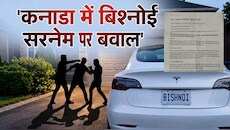 कनाडा में बिश्नोई युवक पर हमला: सरनेम बना निशाना? महासभा ने उच्चायोग को लिखा पत्र