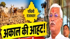 पश्चिमी राजस्थान में अकाल की आहट: पानी का संकट, पशुओं के चारे की किल्लत! शेखावत ने जताई चिंता