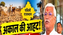 पश्चिमी राजस्थान में अकाल की आहट: पानी का संकट, पशुओं के चारे की किल्लत! शेखावत ने जताई चिंता