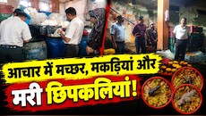 जयपुर में आचार फैक्ट्री पर बड़ा एक्शन: टंकियों में मिले मच्छर, मकड़ियां और मरी छिपकलियां, फैक्ट्री सील
