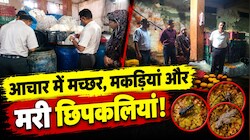 जयपुर में आचार फैक्ट्री पर बड़ा एक्शन: टंकियों में मिले मच्छर, मकड़ियां और मरी छिपकलियां, फैक्ट्री सील