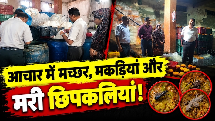 जयपुर में आचार फैक्ट्री पर बड़ा एक्शन: टंकियों में मिले मच्छर, मकड़ियां और मरी छिपकलियां, फैक्ट्री सील