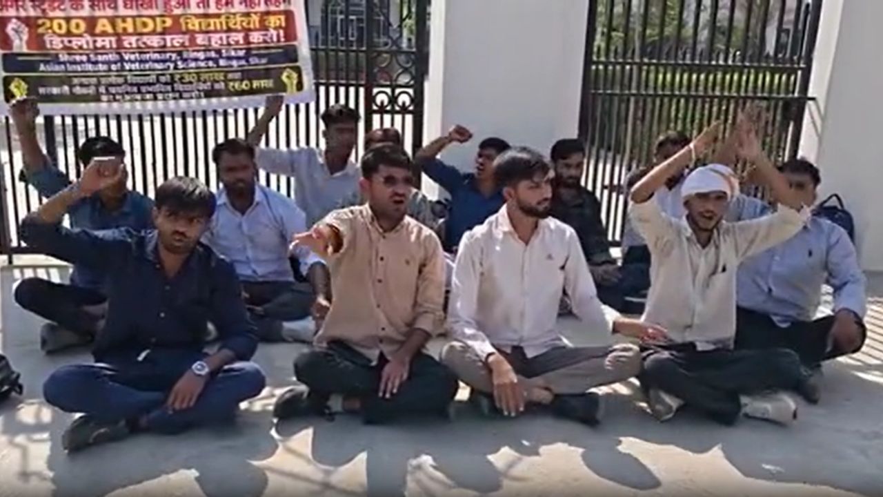 पशु चिकित्सा डिप्लोमा करने के बाद भी नौकरी का संकट: कॉलेजों की मान्यता पर विवाद, धरने पर बैठे विद्यार्थी पशु चिकित्सा डिप्लोमा करने के बाद भी नौकरी का संकट: कॉलेजों की मान्यता पर विवाद, धरने पर बैठे विद्यार्थी