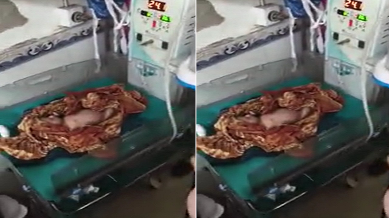 मेरा क्या कसूर मां, पाप तुमने किया और सजा मुझे दी! मुजफ्फरपुर में झाड़ी में फेंकी मिली नवजात बच्ची, उसकी आंखें पूछ रही ये सवाल मेरा क्या कसूर मां, पाप तुमने किया और सजा मुझे दी! मुजफ्फरपुर में झाड़ी में फेंकी मिली नवजात बच्ची, उसकी आंखें पूछ रही ये सवाल