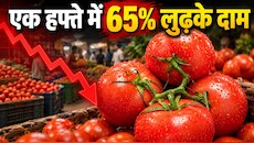 Tomato Price Crash: टमाटर खरीदने वालों की मौज! एक हफ्ते में आधे हुए खुदरा भाव, आखिर किसानों की क्यों बढ़ी मुश्किल?