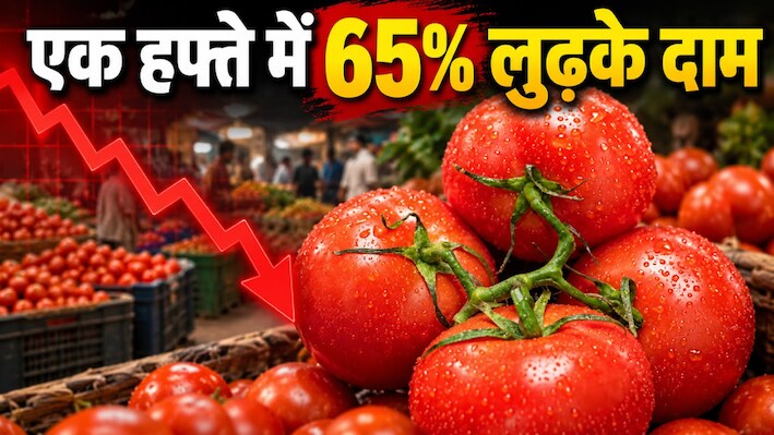 Tomato Price Crash: टमाटर खरीदने वालों की मौज! एक हफ्ते में आधे हुए खुदरा भाव, आखिर किसानों की क्यों बढ़ी मुश्किल?