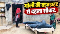 सीकर में ताबड़तोड़ फायरिंग: घर के बाहर सो रहे चाचा को लगीं 3 गोलियां, निशाने पर था भतीजा!