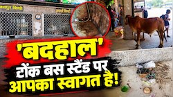 250 से ज्यादा बसें, 5 हजार यात्री रोजाना कर रहे सफर,  Deputy CM के निर्देशों के बाद भी नहीं सुधरी टोंक बस स्टैंड की हालत