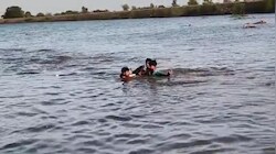 पन्ना में दुर्गा मूर्ति विसर्जन के दौरान गहरे पानी में डूब गए 5 युवक, 2 की मौत से पसरा मातम, अब उठे सवाल