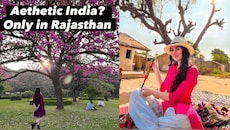 'विदेशों में भारत की झूठी तस्वीर दिखाते हैं': केरल पहुंचते ही टूटे विदेशी महिला के सारे भ्रम; दिल जीत लेगी कहानी