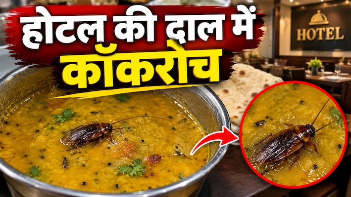 होटल की दाल में कॉकरोच: हाजीपुर में लाइसेंस सस्पेंड, पटना में कई जगह मिलीं खामियां