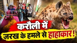 करौली में जरख का खौफ: दराती से भिड़ गया पति, फिर भी 3 ग्रामीण गंभीर घायल, इलाके में दहशत