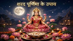 भारी कर्ज तले दबे हैं और नहीं हो रही शादी? शरद पूर्णिमा पर मां लक्ष्मी के ये अचूक उपाय कर दिक्कतों से पा सकते हैं छुटकारा