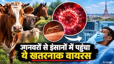 कोरोना के बाद अब इस वायरस ने बढ़ाई चिंता! जानवरों से इंसान तक पहुंचा Shamonda, मरीज की मौत से मचा हड़कंप
