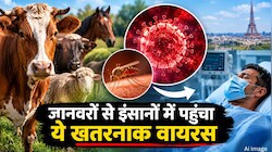 कोरोना के बाद अब इस वायरस ने बढ़ाई चिंता! जानवरों से इंसान तक पहुंचा Shamonda, मरीज की मौत से मचा हड़कंप