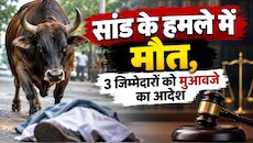आवारा सांड के हमले में मौत पर कोर्ट सख्त, 6% ब्याज सहित मिलेगा 61.35 लाख हर्जाना
