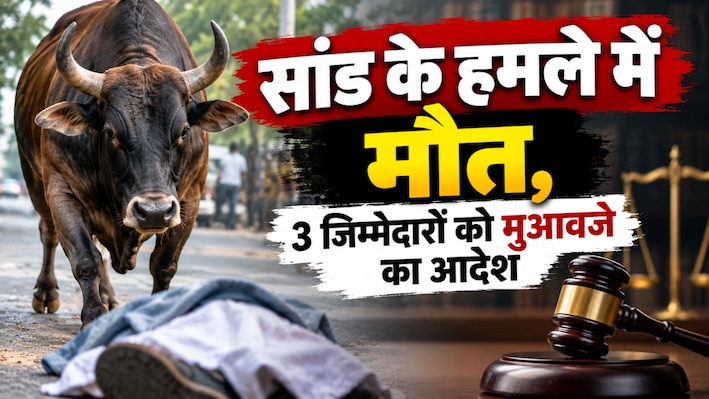 आवारा सांड के हमले में मौत पर कोर्ट सख्त, 6% ब्याज सहित मिलेगा 61.35 लाख हर्जाना
