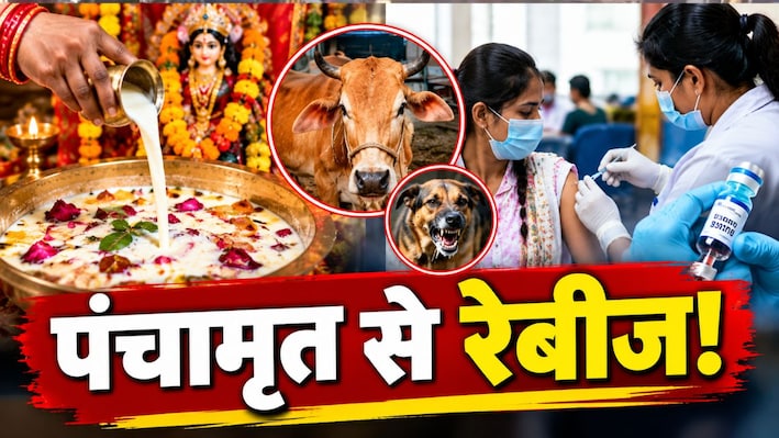 गोरखपुर में पंचामृत के दूध से रेबीज की आशंका, 400 से ज्यादा लोगों को लगा एंटी-रेबीज टीका