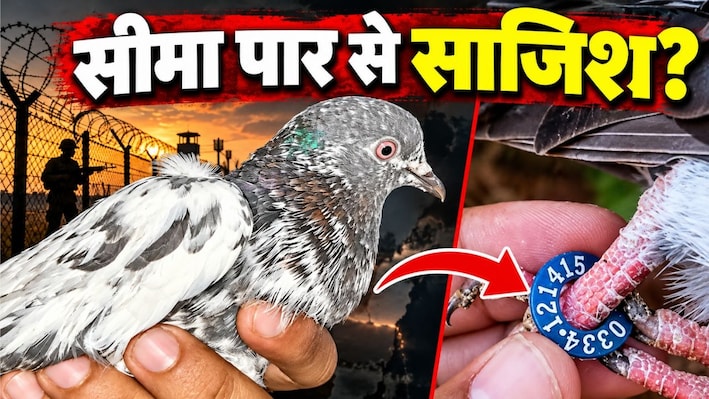 पैर में अंगूठी, उर्दू में लिखी चिट्ठी और पाकिस्तानी रुपये… J&K के सांबा में पकड़े गए कबूतर के पीछे क्या है रहस्य?