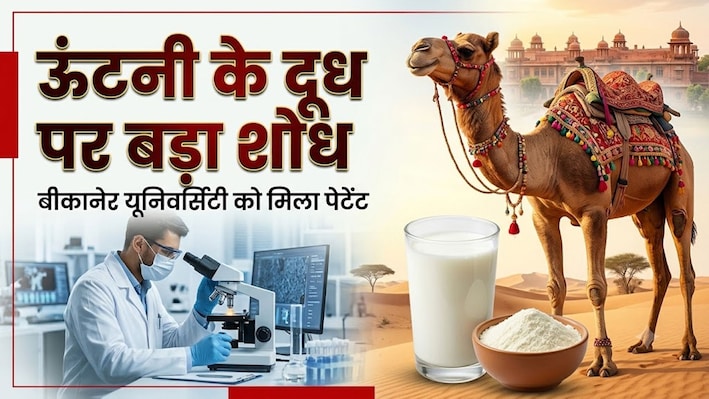 अब महीनों खराब नहीं होगा ऊंटनी का दूध: बीकानेर वैज्ञानिकों ने ढूंढ निकाला जादुई फॉर्मूला