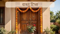 घर के आगे लगा गुलाब का पौधा चूस न ले सारा धन, वास्तु अनुसार जानें क्या हैं इससे जुड़े जरूरी नियम