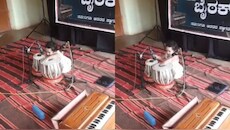 नन्हीं उंगलियों का जादुई कमाल: 3 साल की बच्ची ने तबले पर बजाईं 12 ताल; इंडिया बुक ऑफ रिकॉर्ड्स में दर्ज कराया नाम