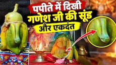 कोटा में पपीते के फल में दिखी सूंड और एकदंत जैसी बनावट, गणेश स्वरूप मानकर की पूजा, दर्शन के लिए पहुंचने लगे लोग