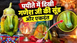 कोटा में पपीते के फल में दिखी सूंड और एकदंत जैसी बनावट, गणेश स्वरूप मानकर की पूजा, दर्शन के लिए पहुंचने लगे लोग