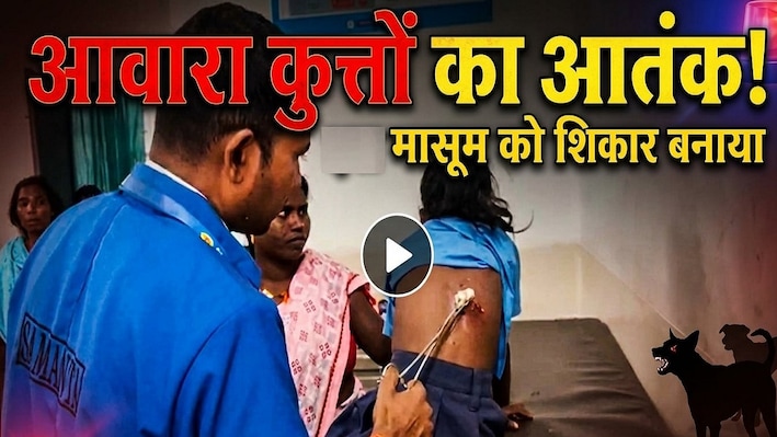 मुंगेर में आवारा कुत्तों का आतंक, 28 लोगों को काटकर किया जख्मी, बच्चों पर भी हमला
