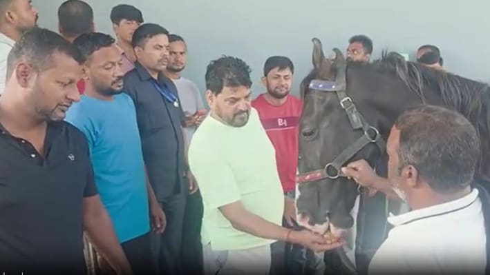 4 साल की उम्र, 1 करोड़ कीमत: बृजभूषण शरण सिंह को तोहफे में मिला सिंध नस्ल का घोड़ा