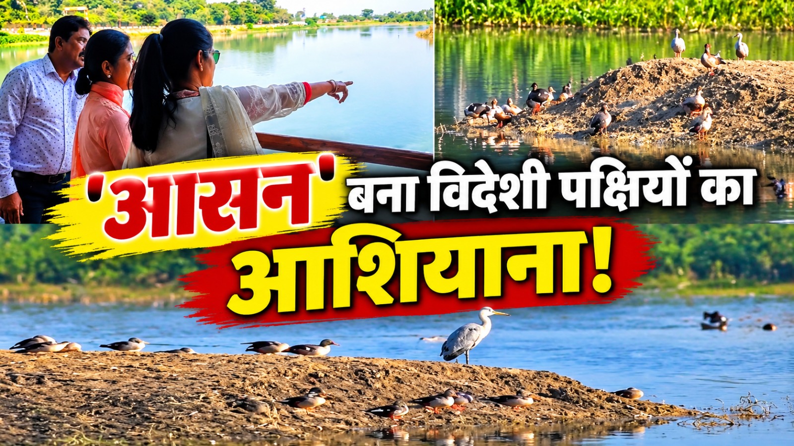 5,000 KM की उड़ान भरकर पहुंचे विदेशी मेहमान: 'पक्षियों की जन्नत' में जमाया डेरा, सबका ध्यान खींच रही परिंदों की अठखेलियां 5,000 KM की उड़ान भरकर पहुंचे विदेशी मेहमान: 'पक्षियों की जन्नत' में जमाया डेरा, सबका ध्यान खींच रही परिंदों की अठखेलियां