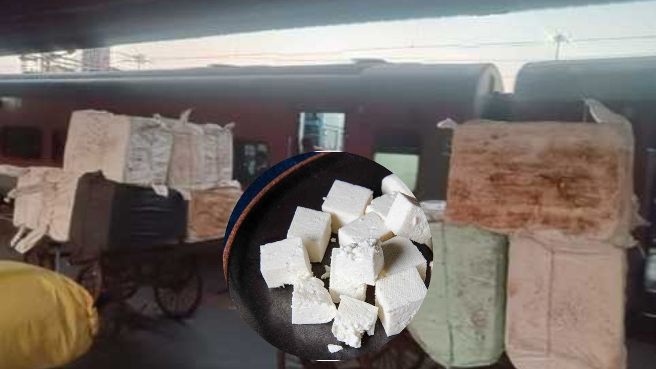 भोपाल में स्टेशन से 700KG एनालॉग पनीर जब्त, मुरैना से लाया गया था माल, लाखों में कीमत भोपाल में स्टेशन से 700KG एनालॉग पनीर जब्त, मुरैना से लाया गया था माल, लाखों में कीमत