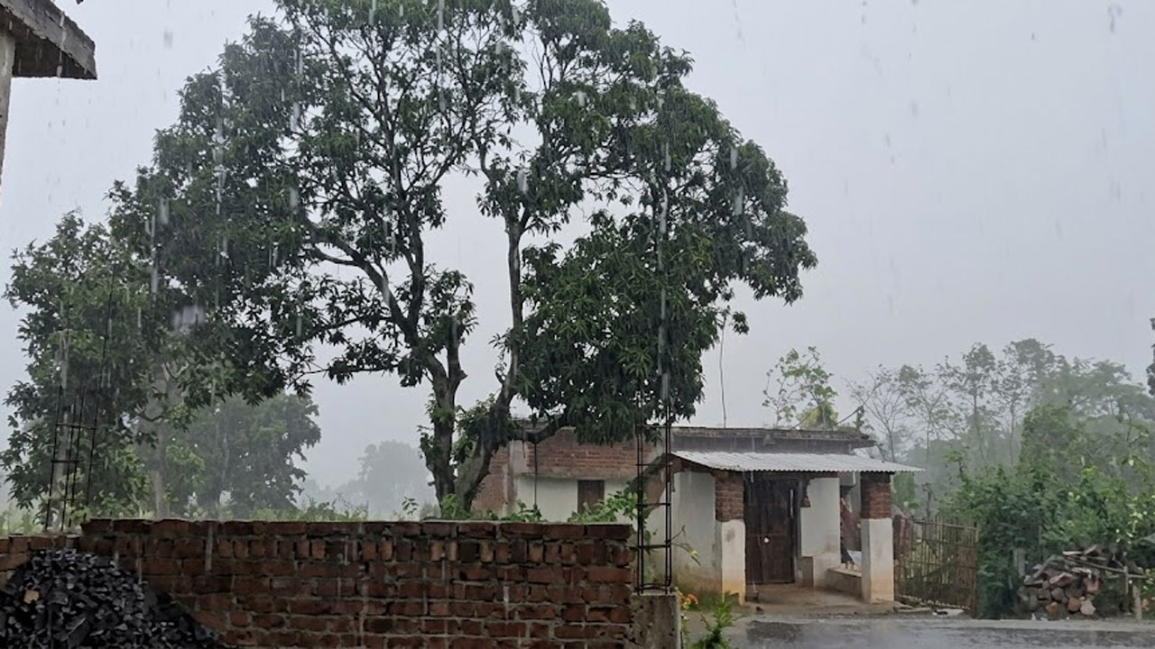 एमपी में 'अर्नब' का असर! 9 जिलों में अति भारी बारिश का ऑरेंज अलर्ट, 40 KM/h की रफ्तार से चलेंगी हवाएं एमपी में 'अर्नब' का असर! 9 जिलों में अति भारी बारिश का ऑरेंज अलर्ट, 40 KM/h की रफ्तार से चलेंगी हवाएं
