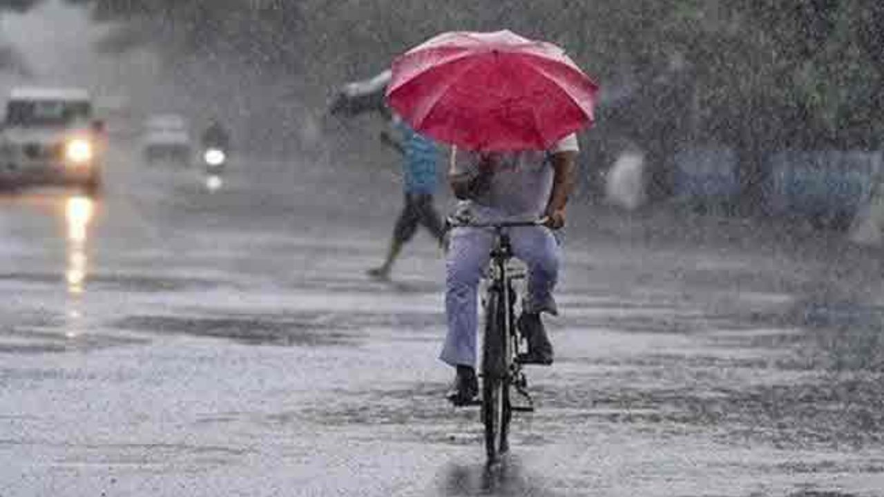 दौसा में मेरबान हुआ मौसम: बारिश से भीगा प्रदेश, धड़ाम से गिरा तापमान दौसा में मेरबान हुआ मौसम: बारिश से भीगा प्रदेश, धड़ाम से गिरा तापमान