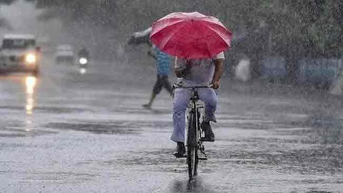 दौसा में मेरबान हुआ मौसम: बारिश से भीगा प्रदेश, धड़ाम से गिरा तापमान