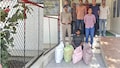 नशीली कफ सिरप का स्टॉक बरामद: करीब सवा लाख कीमत की 600 बोतलें जब्त, गुजरात पुलिस की रेड में क्या पता चला?
