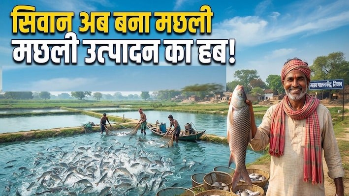 मछली उत्पादन का हब बन रहा सिवान! आधुनिक तकनीक और प्रशिक्षण से संवर रहा युवाओं का भविष्य