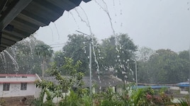 चक्रवात 'अर्नब' का असर कमजोर, नहीं थमा बारिश का दौर: रायपुर में 24 घंटे में 4CM पानी बरसा, आज भी कई जिलों में मौसम खराब रहने की चेतावनी