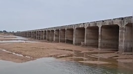 9 करोड़ का 'पुल' तैयार... लेकिन 'एप्रोच रोड' बनाना भूल गए इंजीनियर, भोपाल के टेढ़े पुल के बाद MP में फिर गजब कारनामा