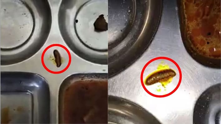 हॉस्टल के खाने में मिलीं इल्लियां, पीने के पानी में कीड़े-चींटियां, गुस्साए छात्रों ने किया हंगामा