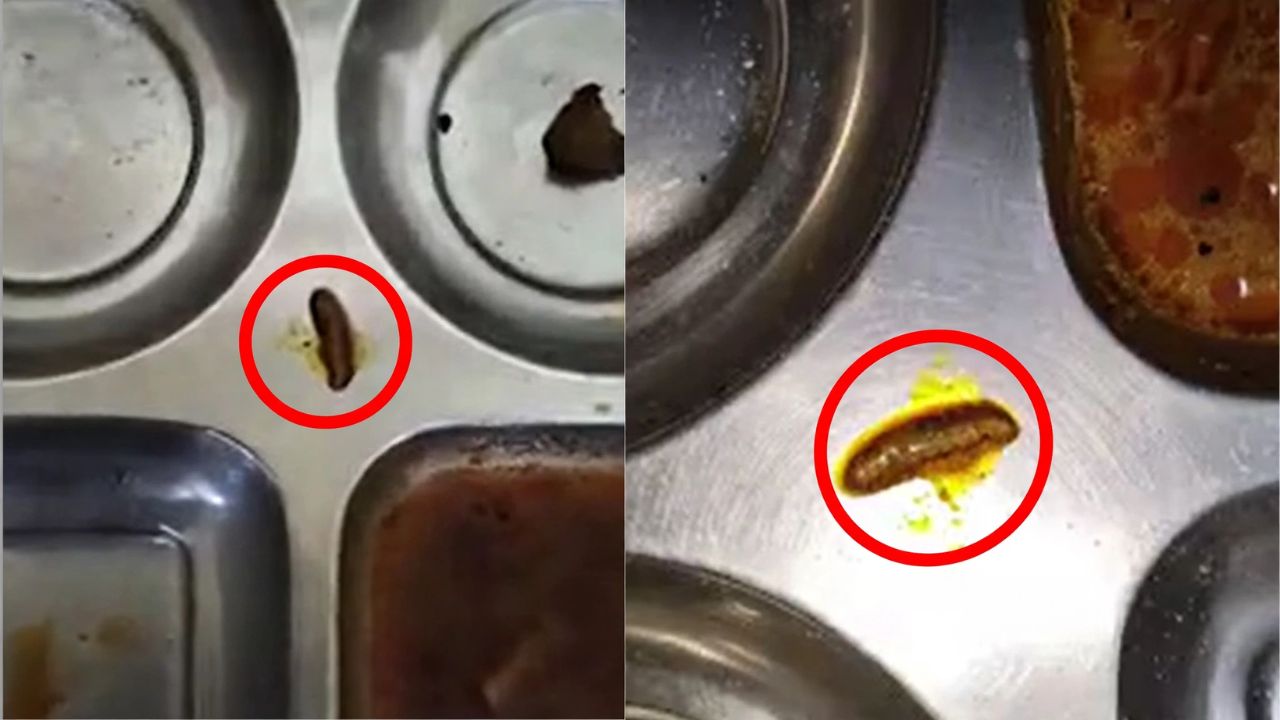 हॉस्टल के खाने में मिलीं इल्लियां, पीने के पानी में कीड़े-चींटियां, गुस्साए छात्रों ने किया हंगामा हॉस्टल के खाने में मिलीं इल्लियां, पीने के पानी में कीड़े-चींटियां, गुस्साए छात्रों ने किया हंगामा