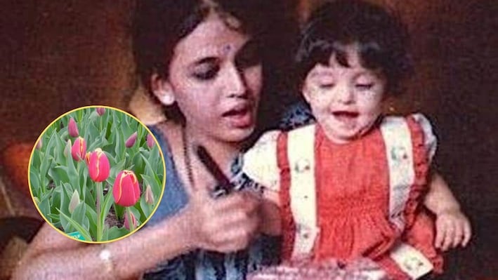 4 सेकेंड की एंट्री से रातों-रात बनीं सेंसेशन... नीदरलैंड्स के ट्यूलिप गार्डन में महकता है इस जादुई आंखों वाली हसीना का नाम!