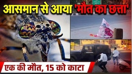 जोधपुर में खौफ का मंजर ! एयरपोर्ट रोड पर अचानक टूटीं मधुमक्खियां, 1 की मौत, 15 को काटा