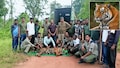 दहशत का 'T-179' चैप्टर खत्म: जिसके खौफ से कांप रहा था चंद्रपुर, वो पकड़ा गया; पलासगांव में लौटा सुकून