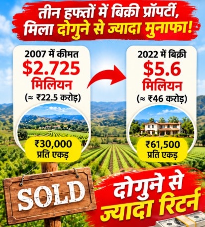 sandra