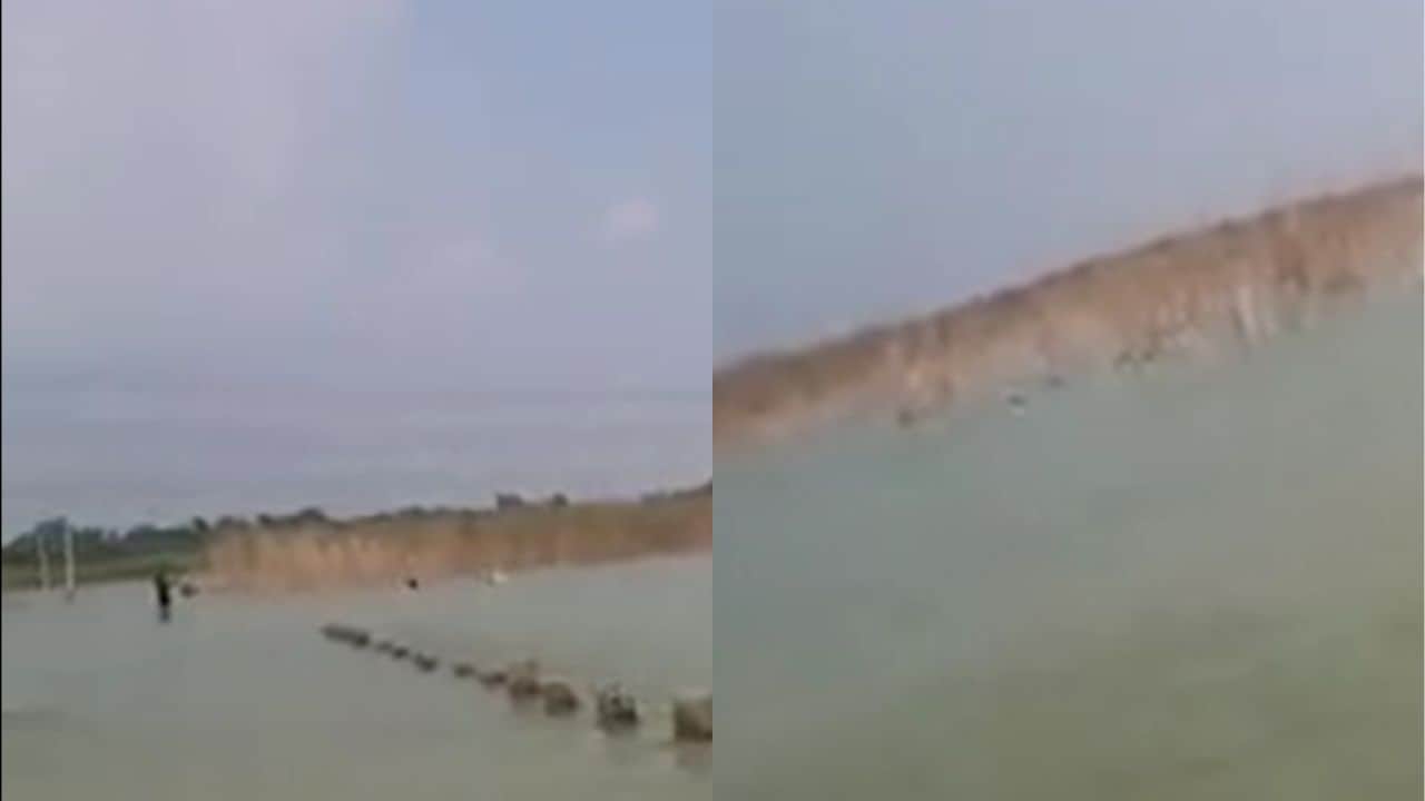 Begusarie flood