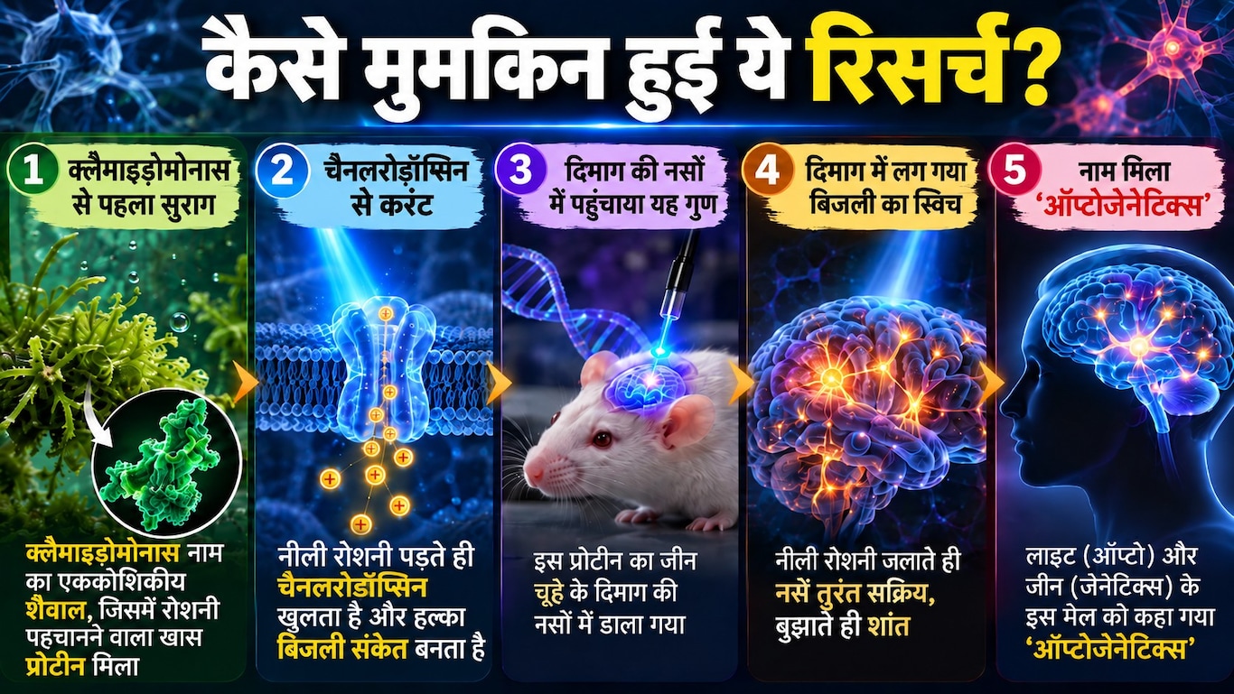 nobel prize in medicine 2026