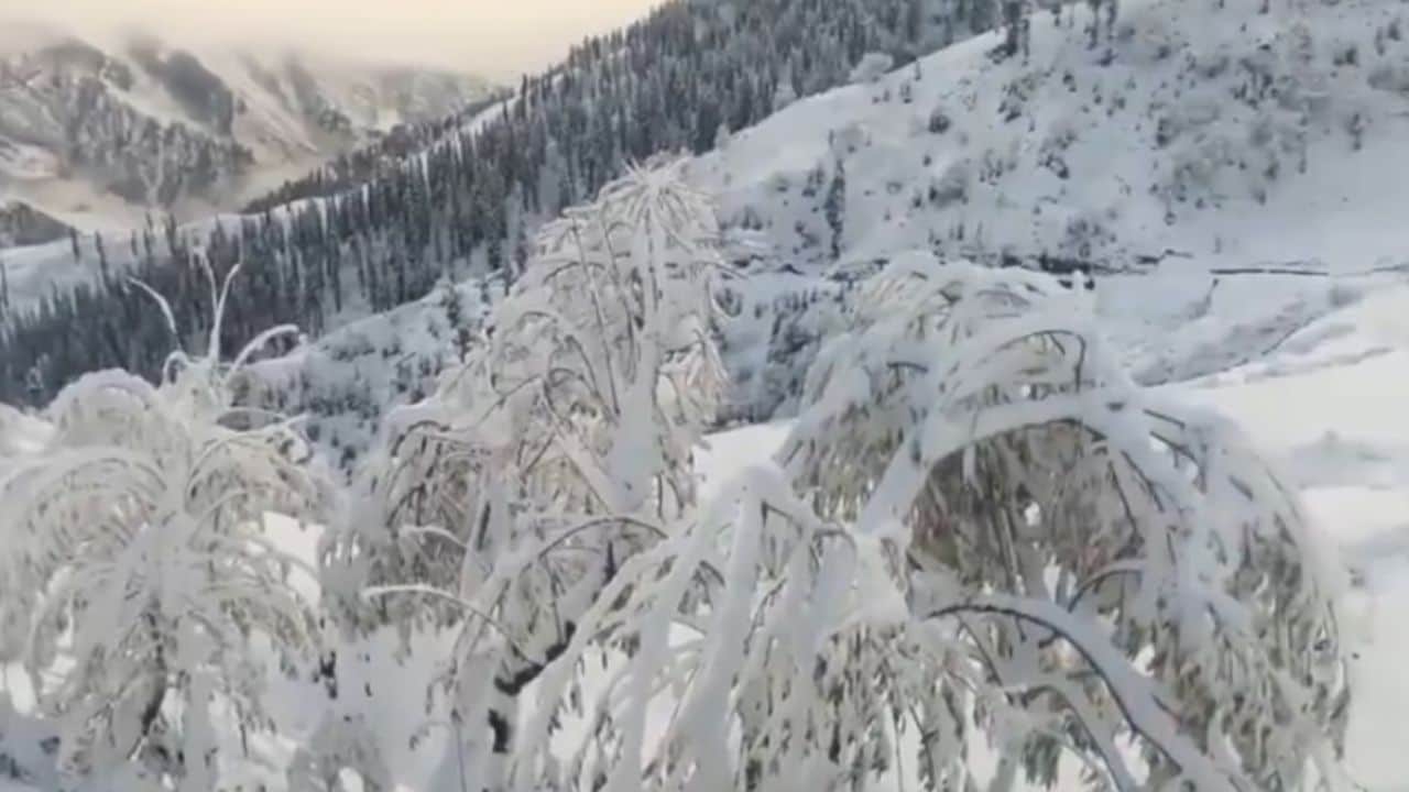Kashmir Weather,